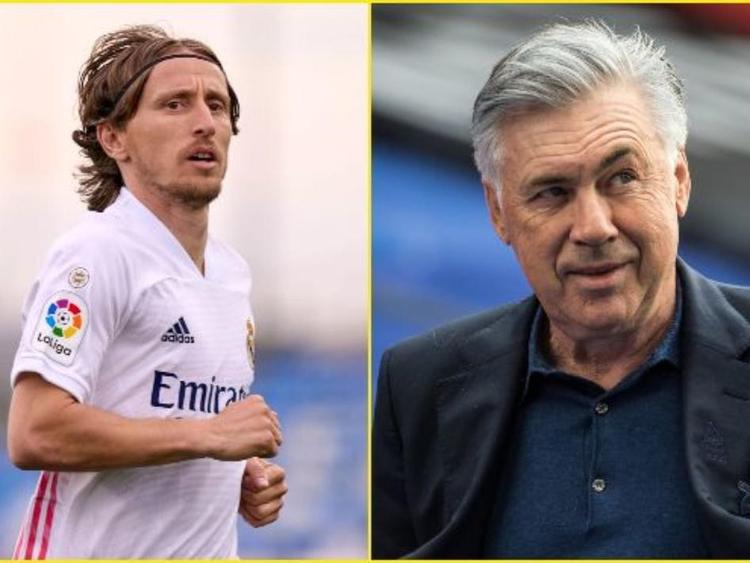 搏的代名词 搏的代名词