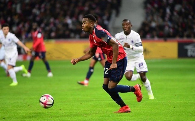 仍处于职业 仍处于职业