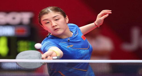 5轮的数据 5轮的数据